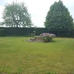 De Ketse Steenuil