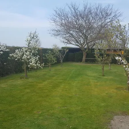 De Ketse Steenuil Kaatsheuvel