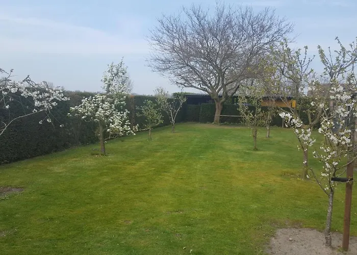 De Ketse Steenuil Kaatsheuvel